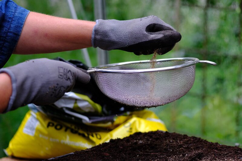 Anzucht-Komplettset PRO - Einfacher Bio-Pflanzgarten