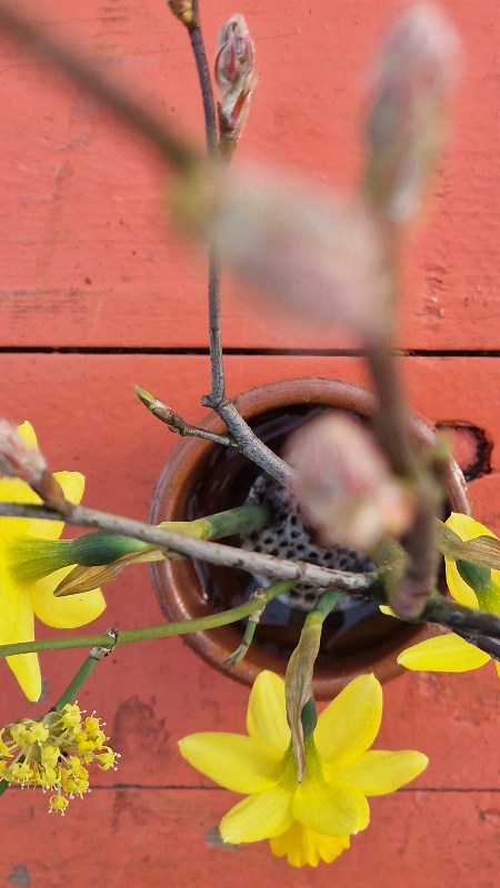 Blumenfrosch - Kenzan - Blumenstab