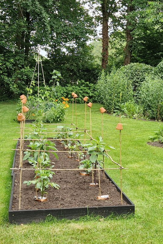 kopertape - tegen slakken - om dahlia planten