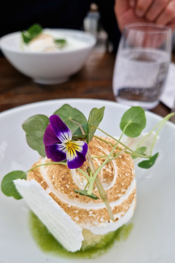 Viooltje wild - Viola tricolor - als eetbare bloem op een gerecht