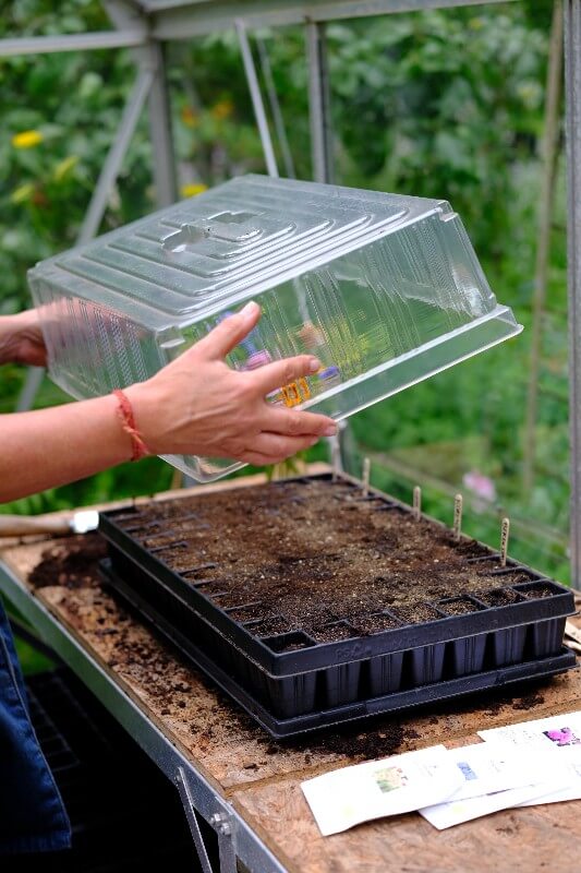 Anzuchtset PRO Komplet- Einfacher Bio-Gemüsegarten