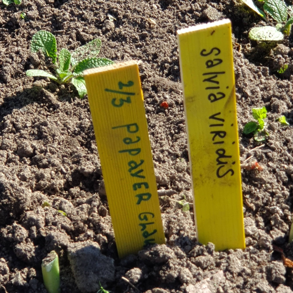 steeketiket  plantlabel 20 x 2 cm hout geel in de grond