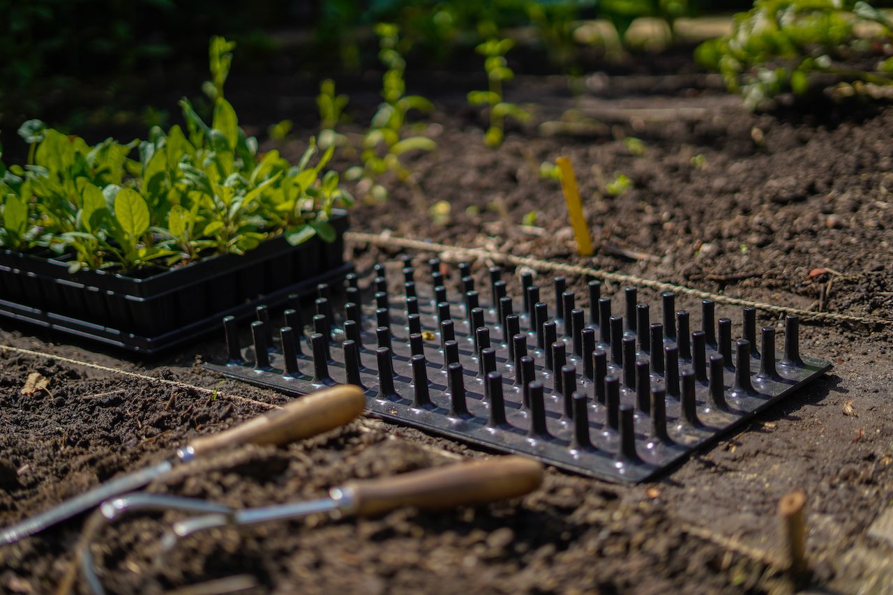 uitdrukplaat samen met zaaitray pro
