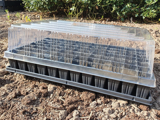 zaaitray compleet 84 pots met onderplaat en deksel