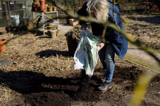 Waarom zou je biologische compost gebruiken?