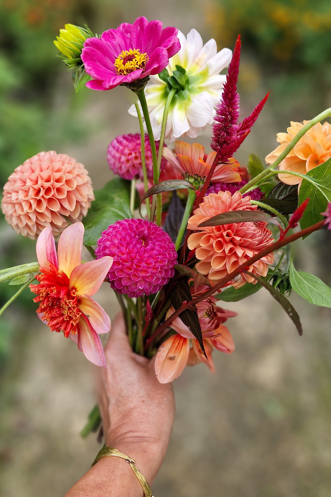 boeket Dahlia's Burlesca