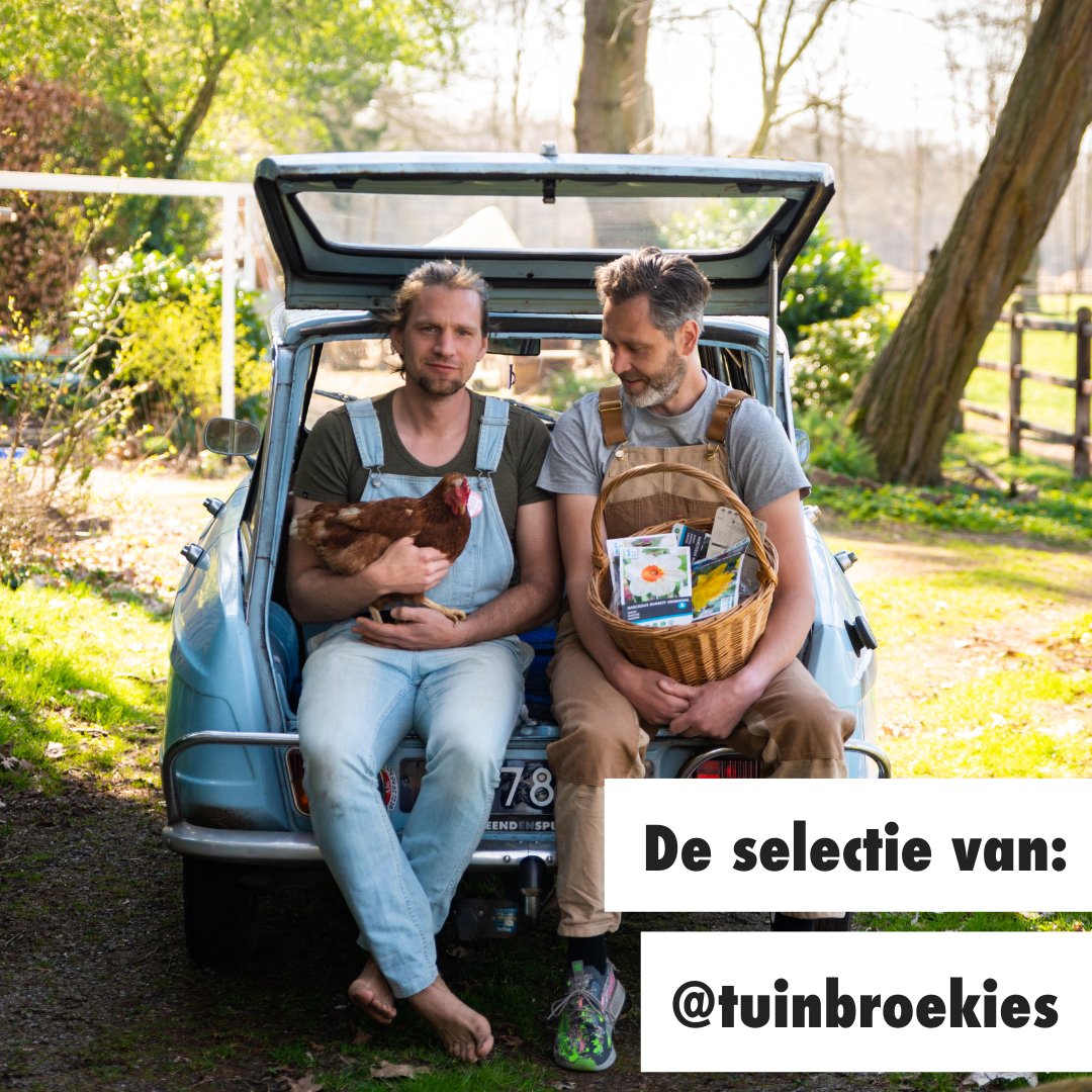 Tuinbroekies in de auto
