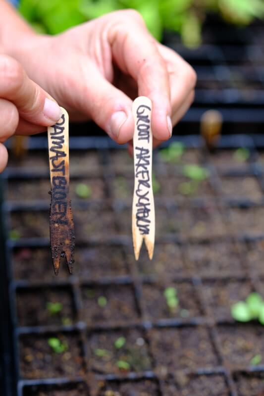Komplettes Anzuchtset PRO - Einfacher Bio-Gemüsegarten