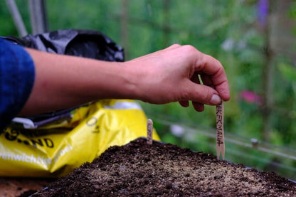 Komplettes Anzuchtset PRO - Einfacher Bio-Gemüsegarten