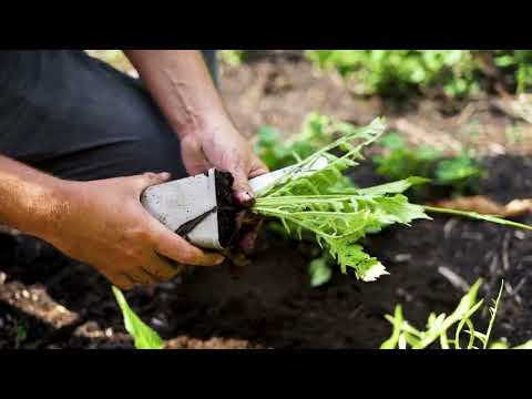 uitleg gebruik tuinaarde compost