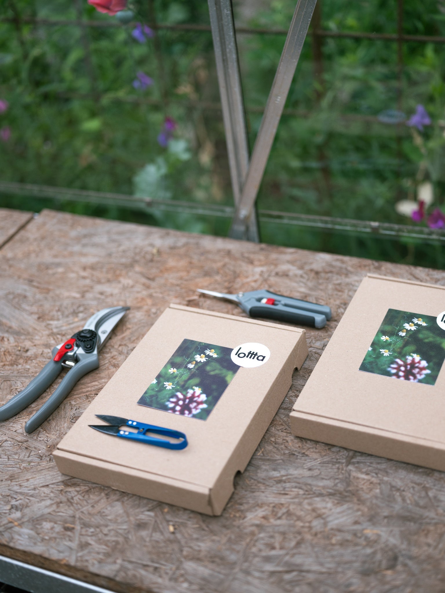 Scharenset met een snoeischaar -bloemenschaar - snipschaar