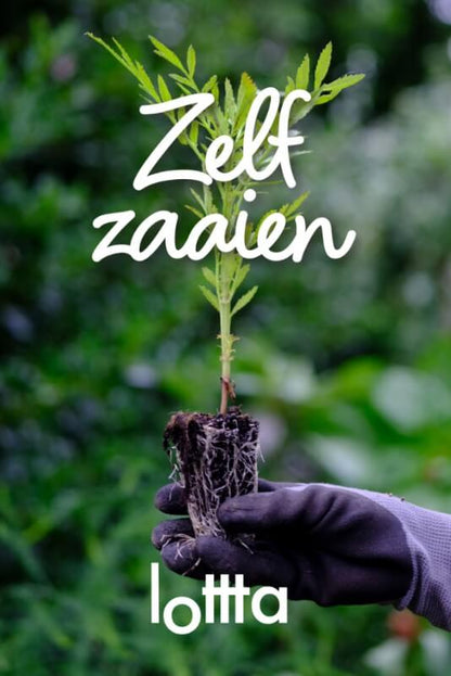 Komplettes Anzuchtset PRO - Einfacher Bio-Gemüsegarten