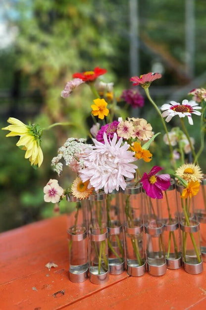 Zomeraster ‘Appleblossom’ - Callistephus chinensis - wit roze - in een vaas