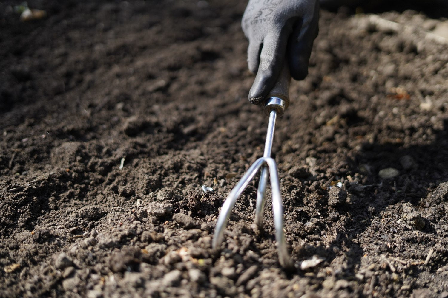 plantset cultivator