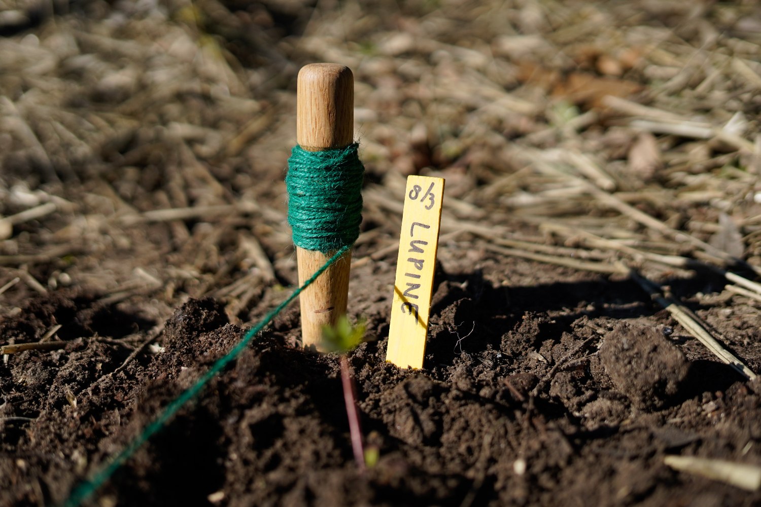 plantset plantlabel tuintouw