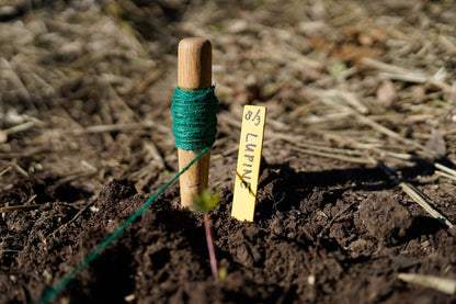 plantset plantlabel tuintouw